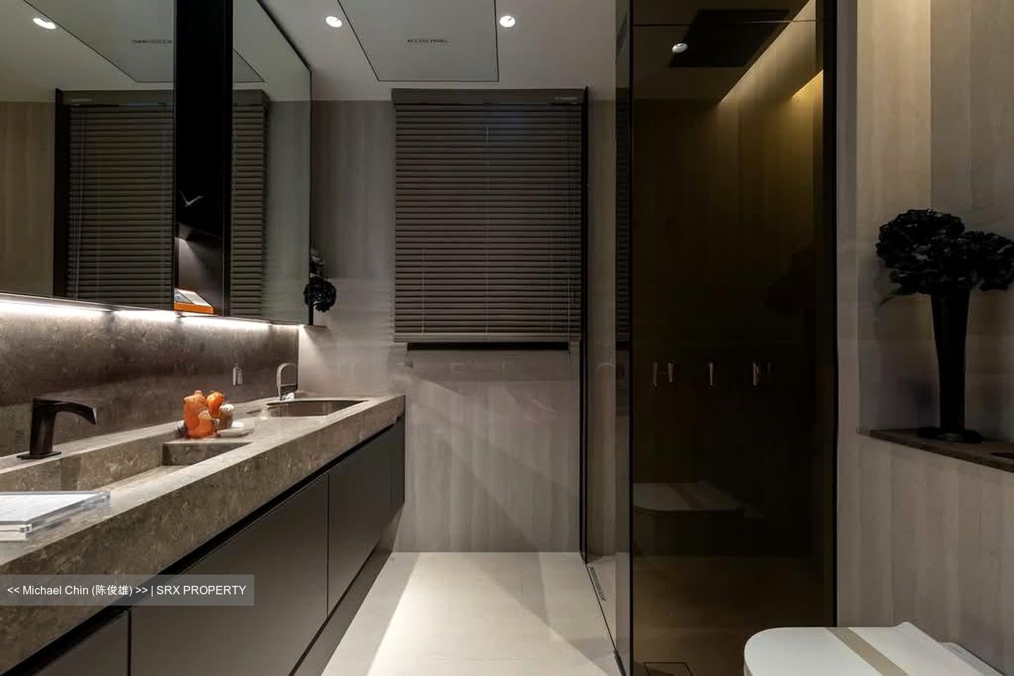 Thomson View Condominium (D20), Condominium #570445701